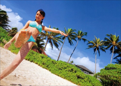 f:id:a33com:20091211031554j:image
