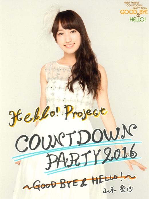 f:id:a33com:20170104004559j:image