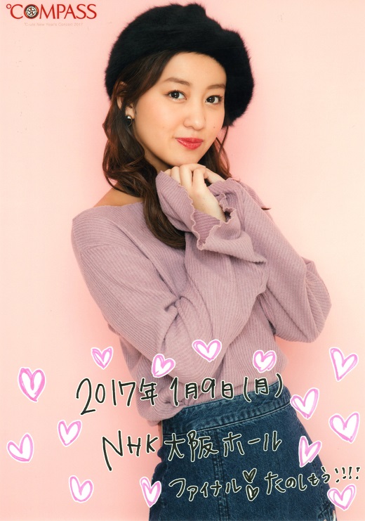 f:id:a33com:20170110231238j:image