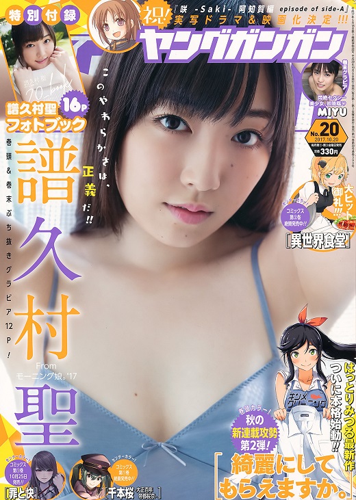 f:id:a33com:20171013234905j:image