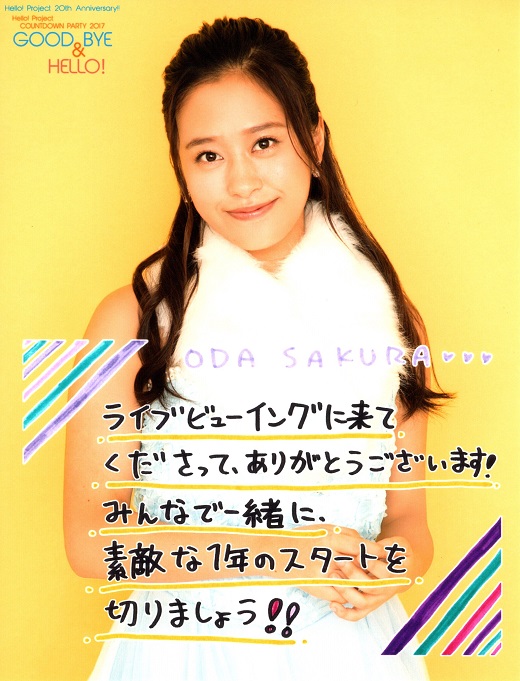 f:id:a33com:20180103000520j:image