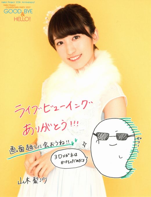 f:id:a33com:20180105224921j:image