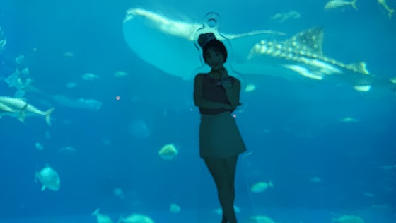 f:id:a33com:20191105113256j:plain f:id:a33com:20191105113256j:plain