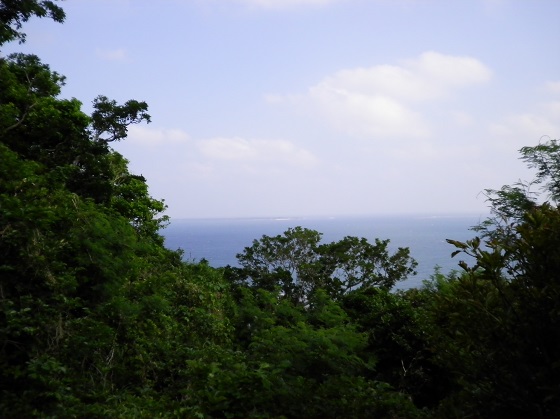 f:id:a33com:20191106110701j:plain f:id:a33com:20191106110701j:plain