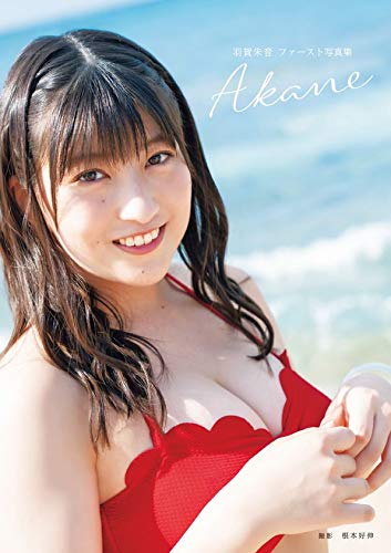 f:id:a33com:20200111212939j:plain