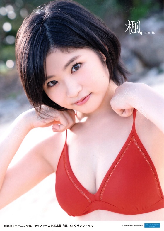 f:id:a33com:20200318222452j:plain f:id:a33com:20200318222452j:plain