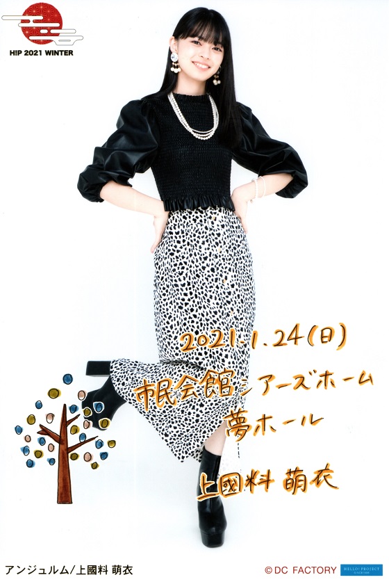 f:id:a33com:20210131221327j:plain