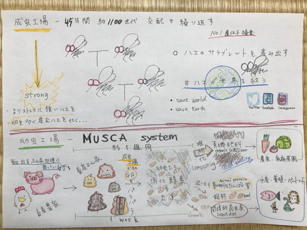 f:id:a3619t:20180217183322j:plain f:id:a3619t:20180217183322j:plain