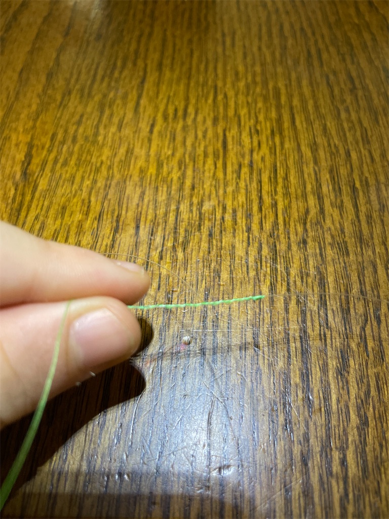 f:id:a3692580:20241201112541j:image f:id:a3692580:20241201112541j:image