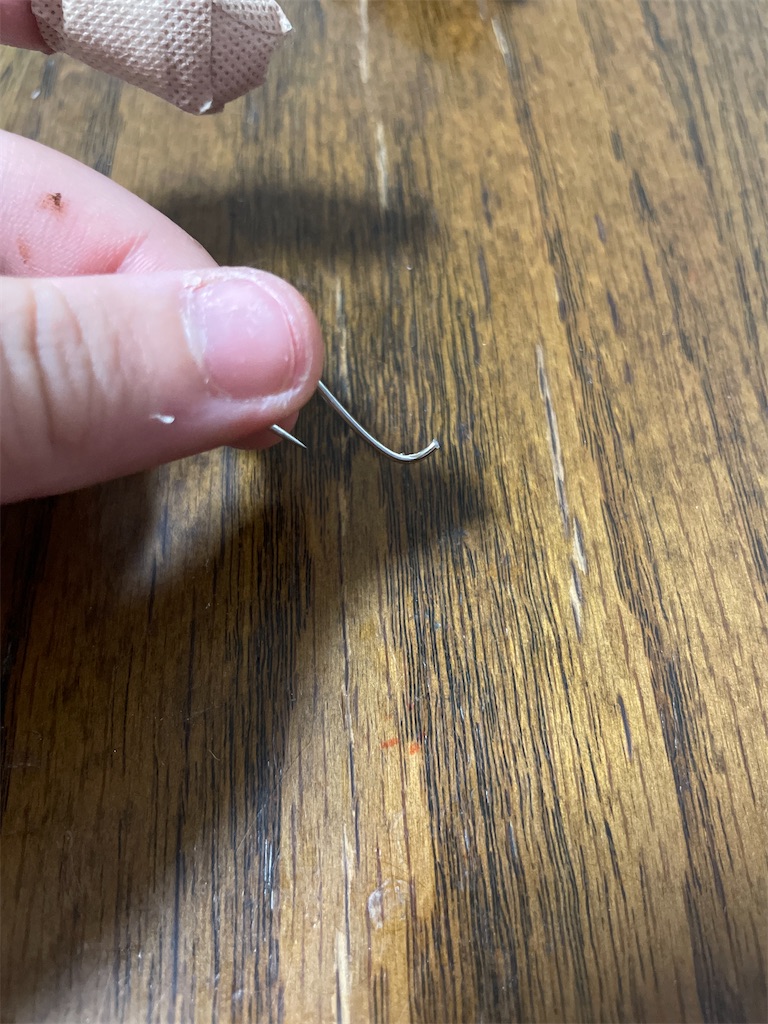 f:id:a3692580:20250106172735j:image f:id:a3692580:20250106172735j:image