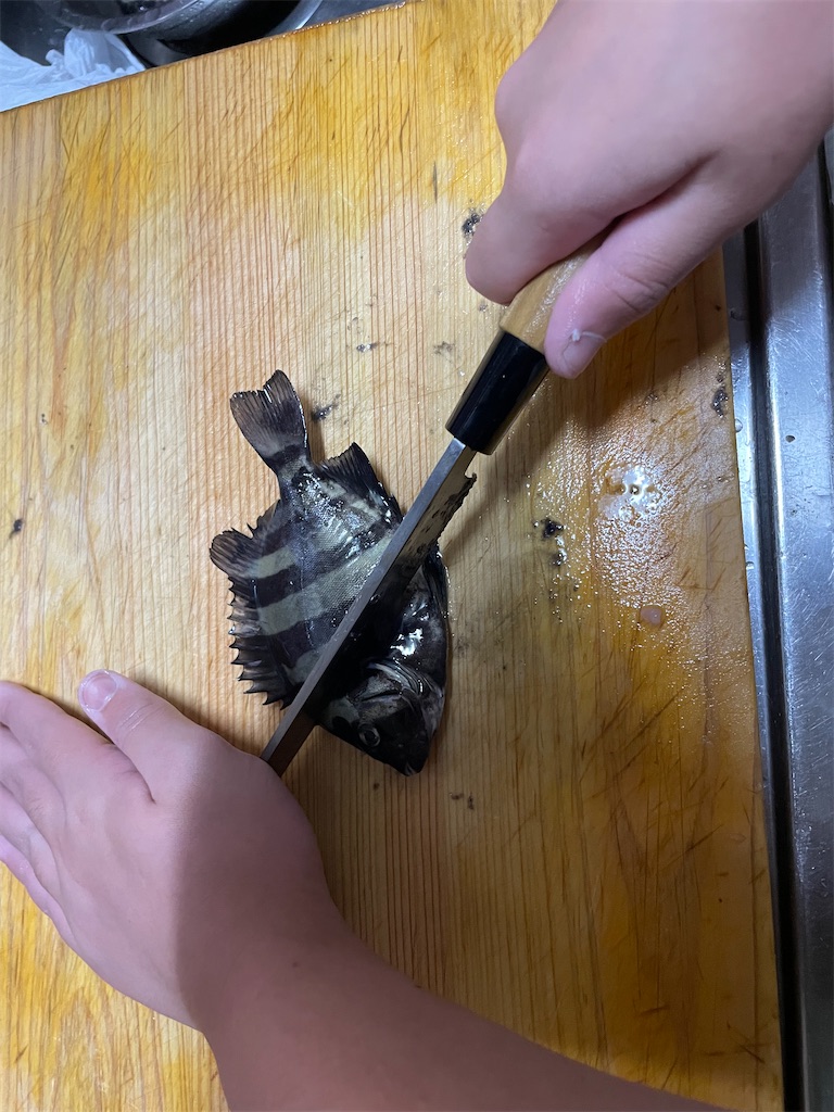 f:id:a3692580:20251012115937j:image f:id:a3692580:20251012115937j:image