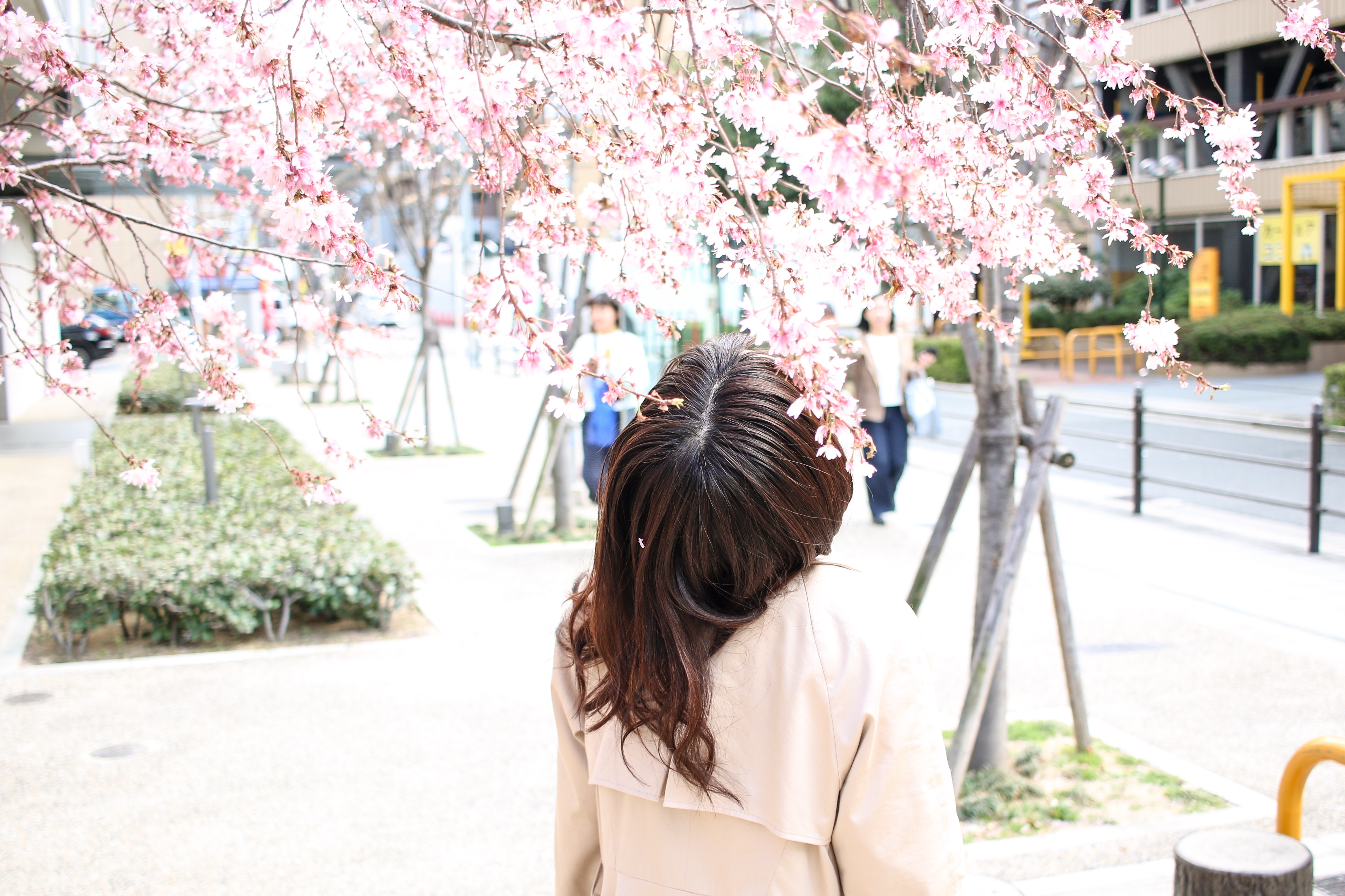 f:id:a418:20180322231449j:image f:id:a418:20180322231449j:image