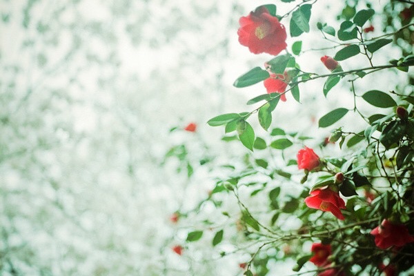 f:id:a418:20190102220758j:image f:id:a418:20190102220758j:image