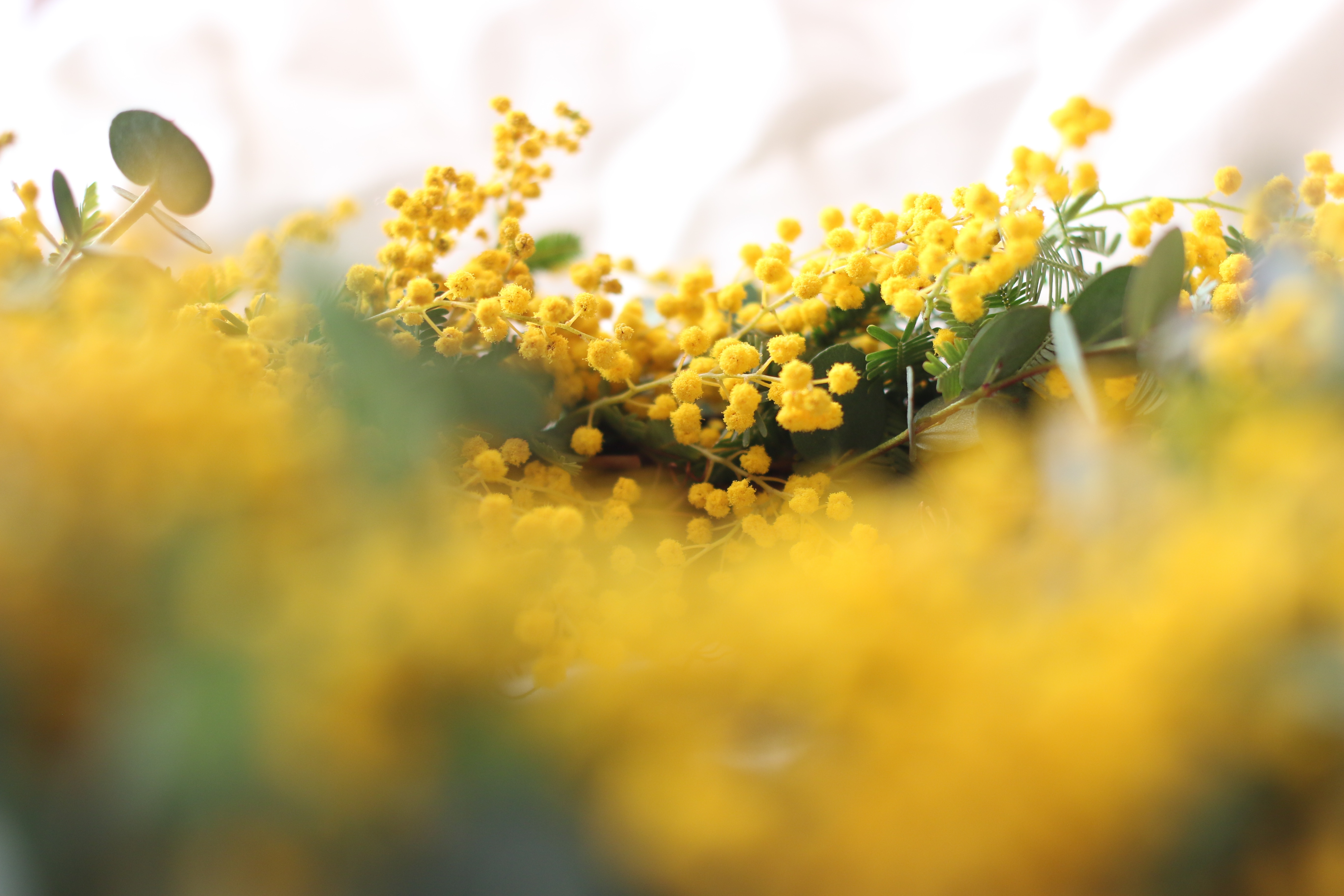f:id:a418:20190301001045j:image f:id:a418:20190301001045j:image