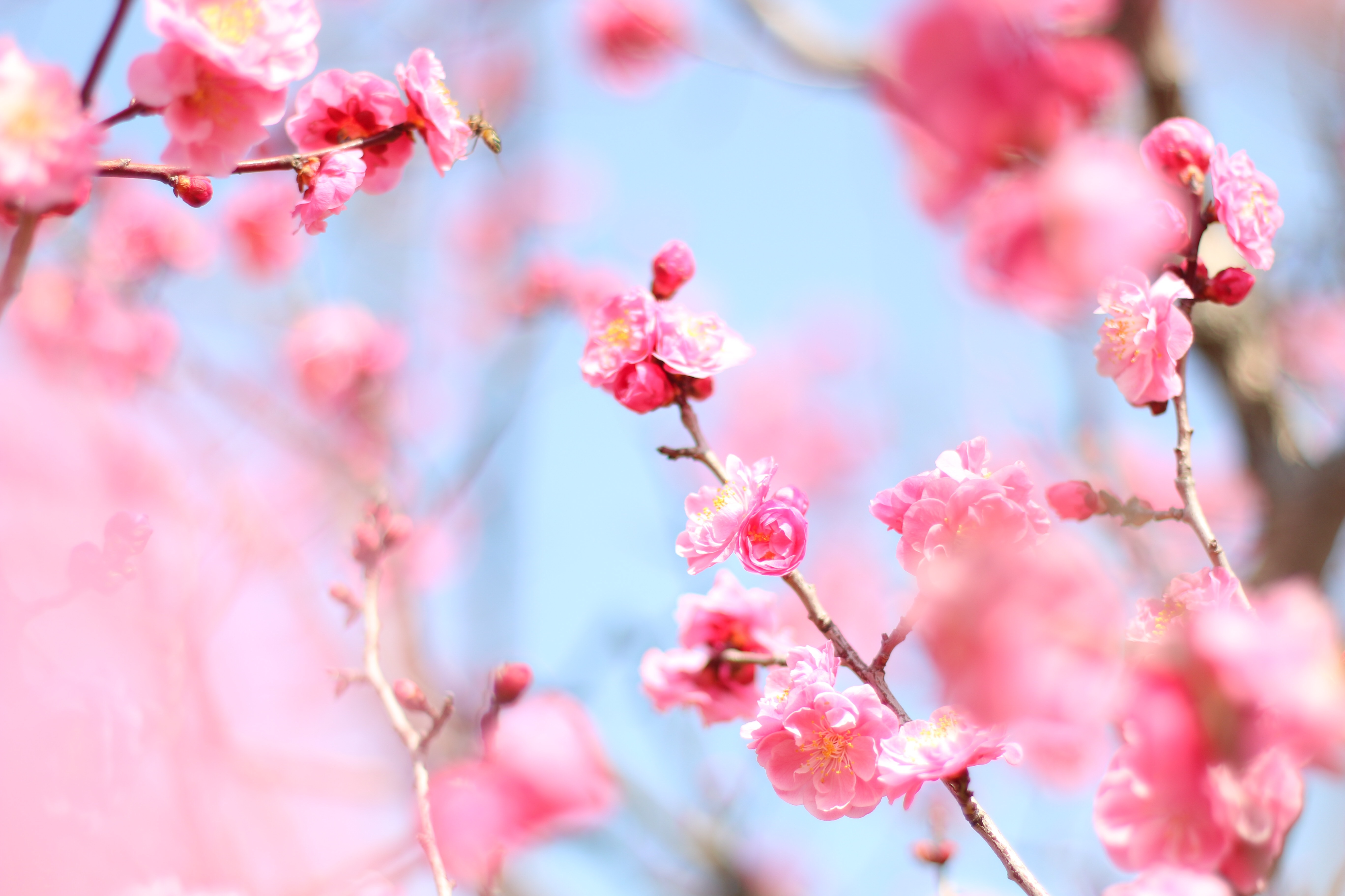 f:id:a418:20190303215252j:image f:id:a418:20190303215252j:image