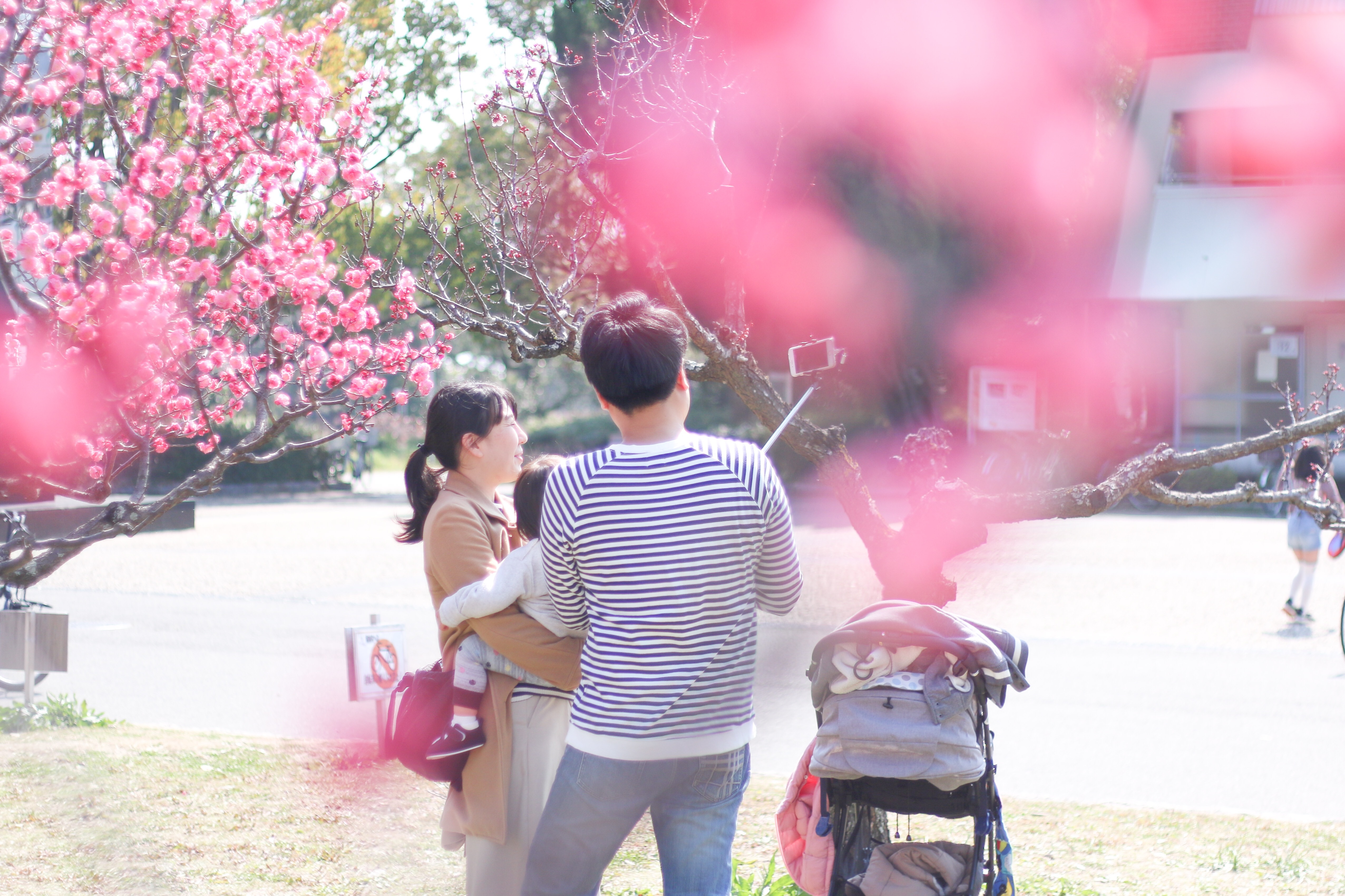 f:id:a418:20190303232751j:image f:id:a418:20190303232751j:image