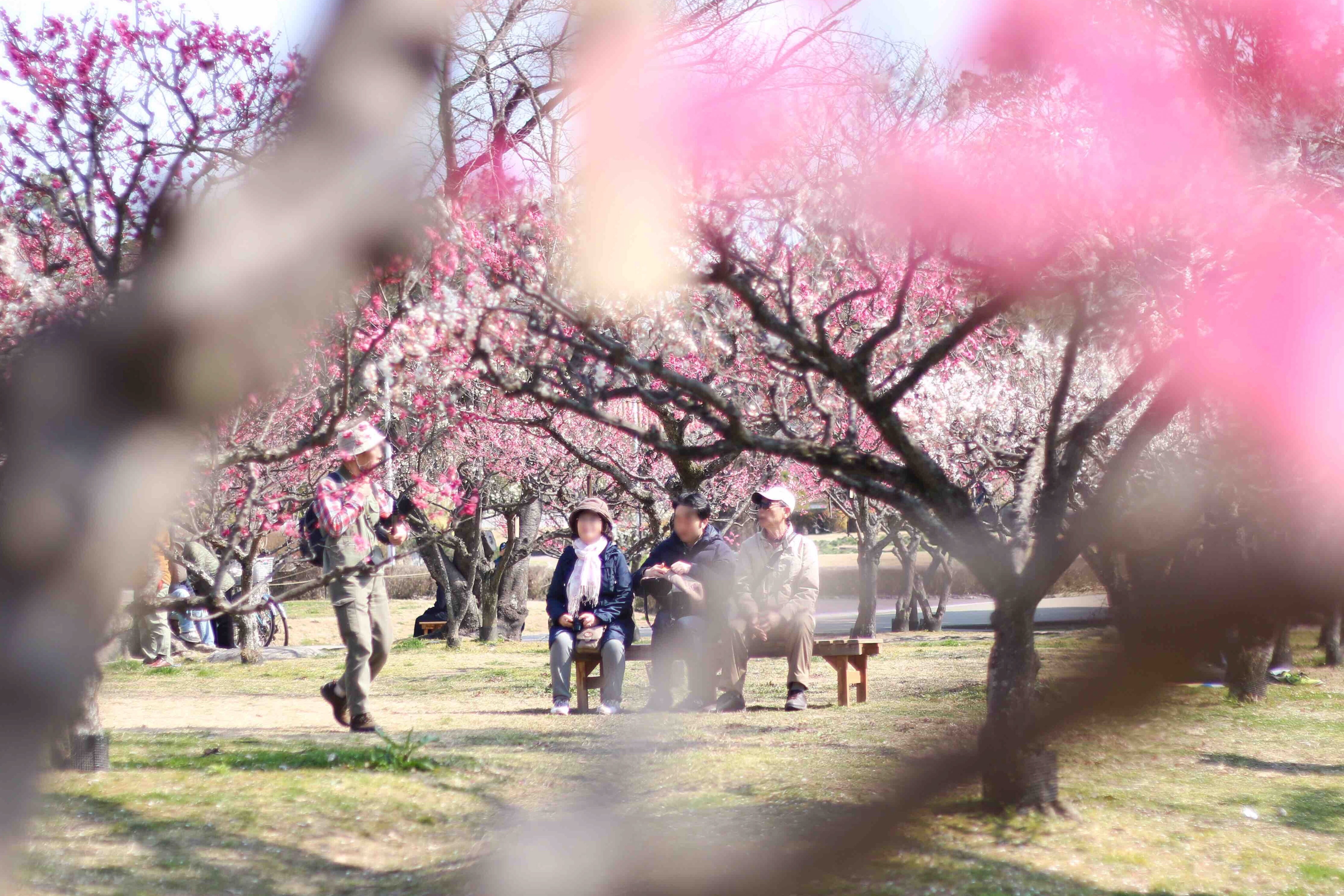 f:id:a418:20190303232825j:image f:id:a418:20190303232825j:image