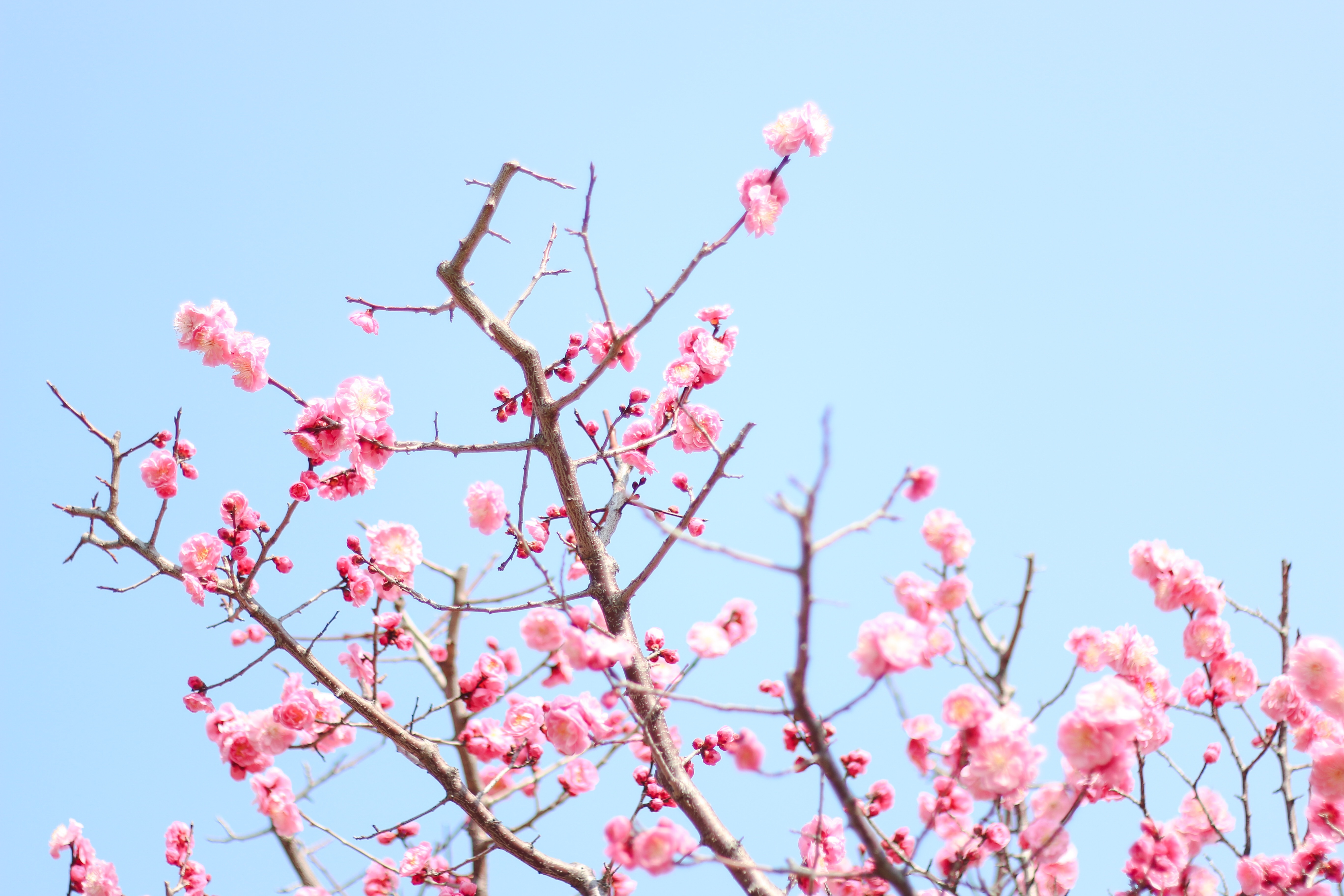 f:id:a418:20190303233354j:image f:id:a418:20190303233354j:image