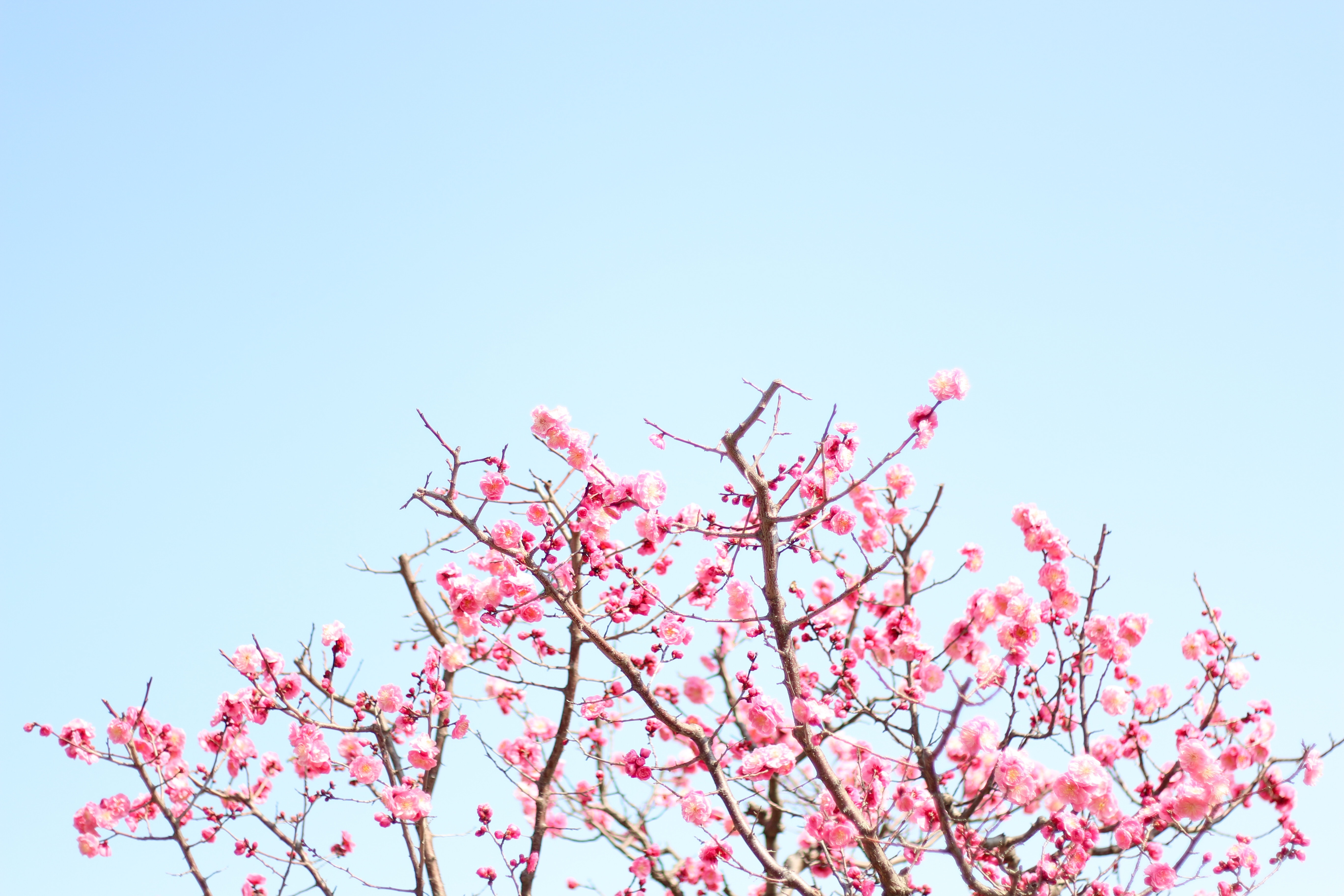 f:id:a418:20190303233450j:image f:id:a418:20190303233450j:image
