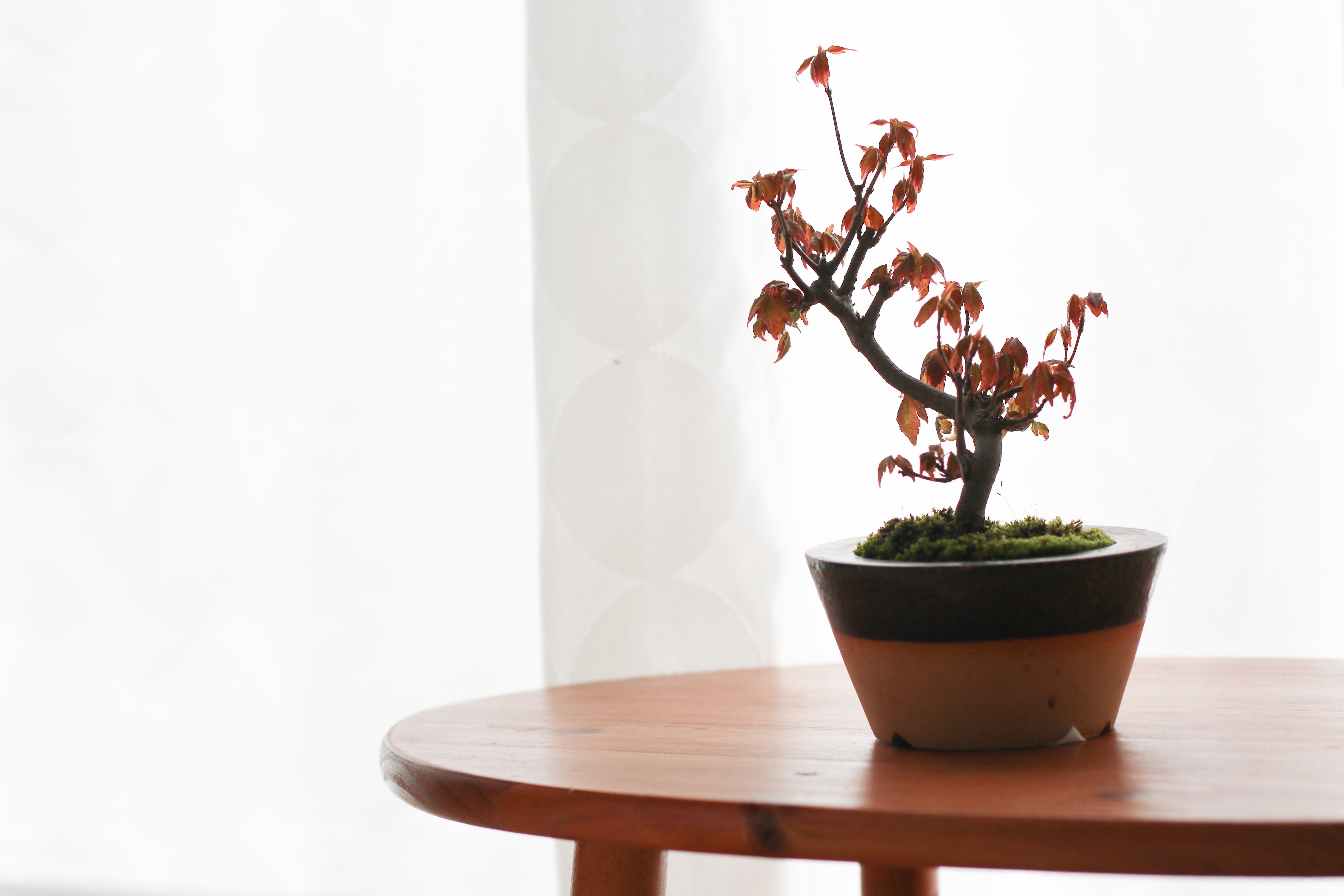 f:id:a418:20190324160332j:image
