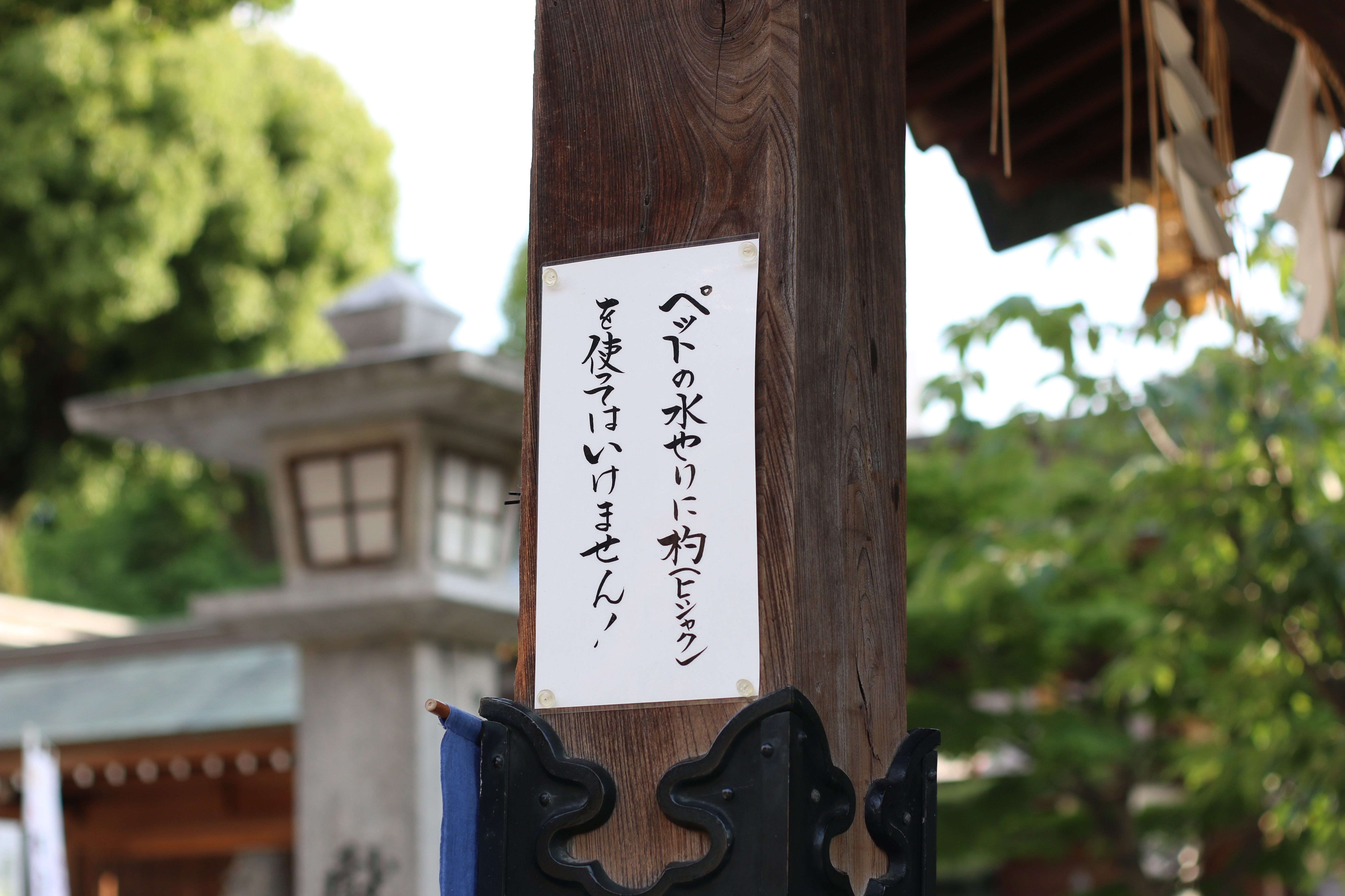 f:id:a418:20190531124440j:image f:id:a418:20190531124440j:image