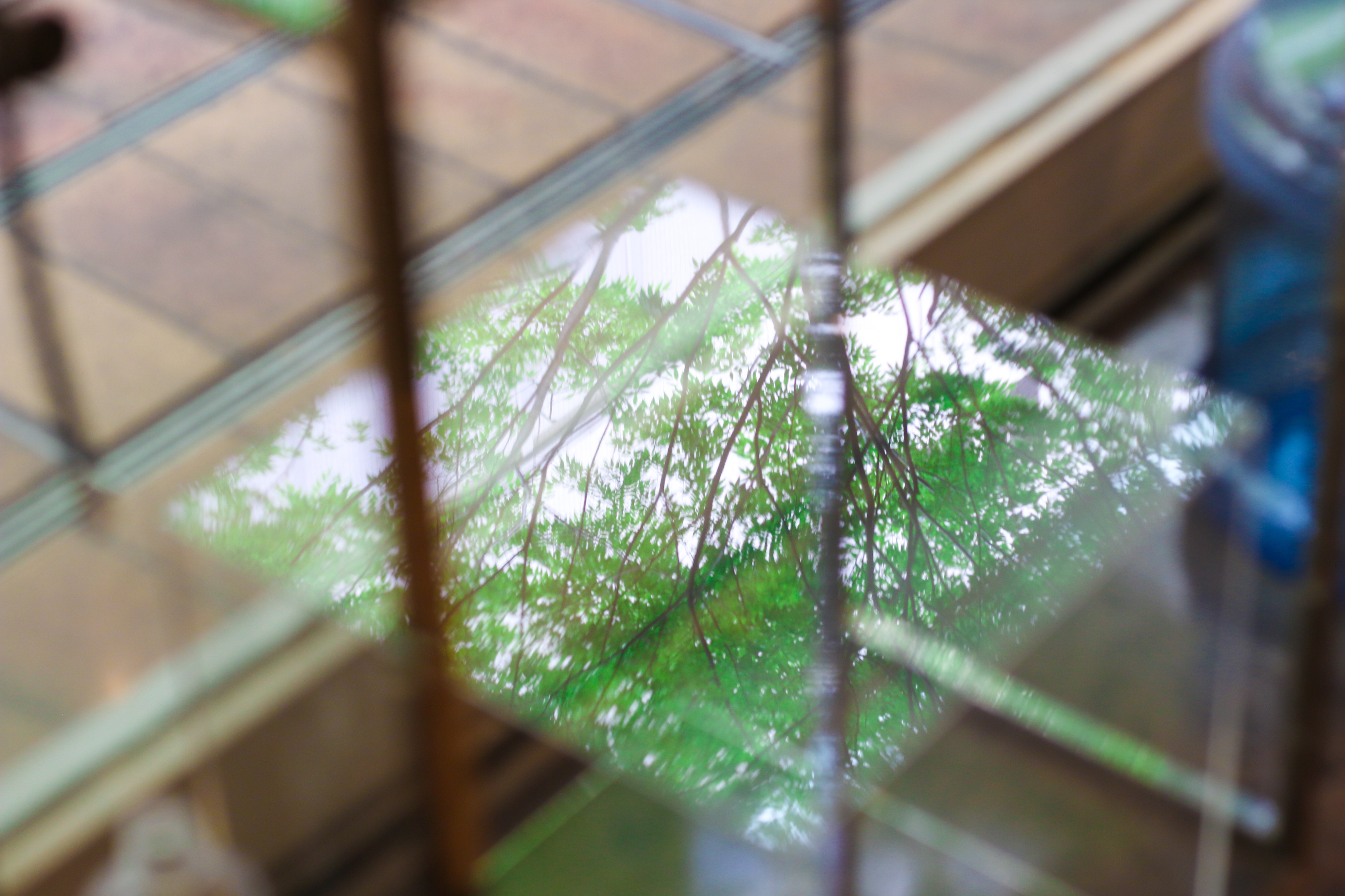 f:id:a418:20190531124519j:image f:id:a418:20190531124519j:image