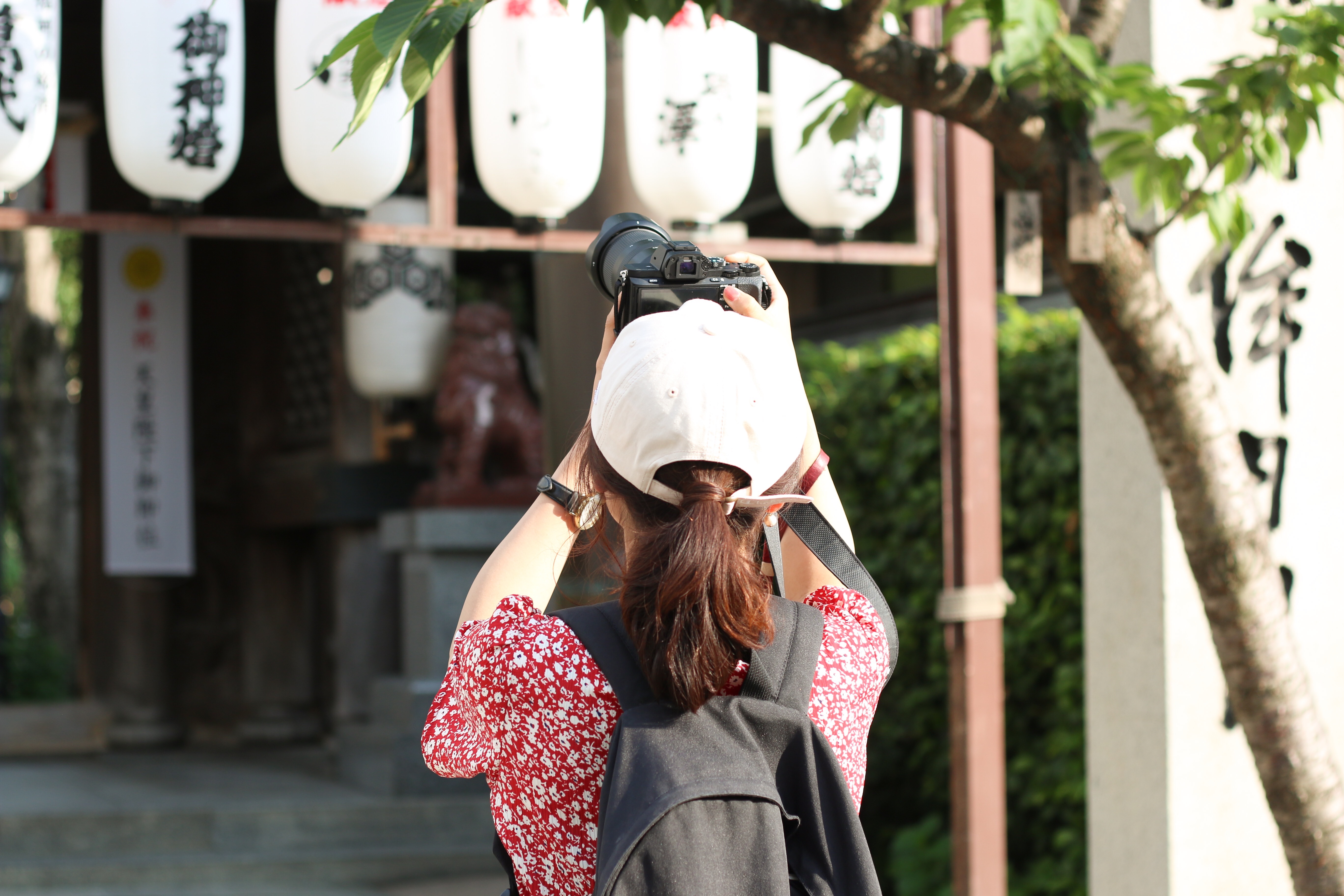 f:id:a418:20190531125410j:image f:id:a418:20190531125410j:image