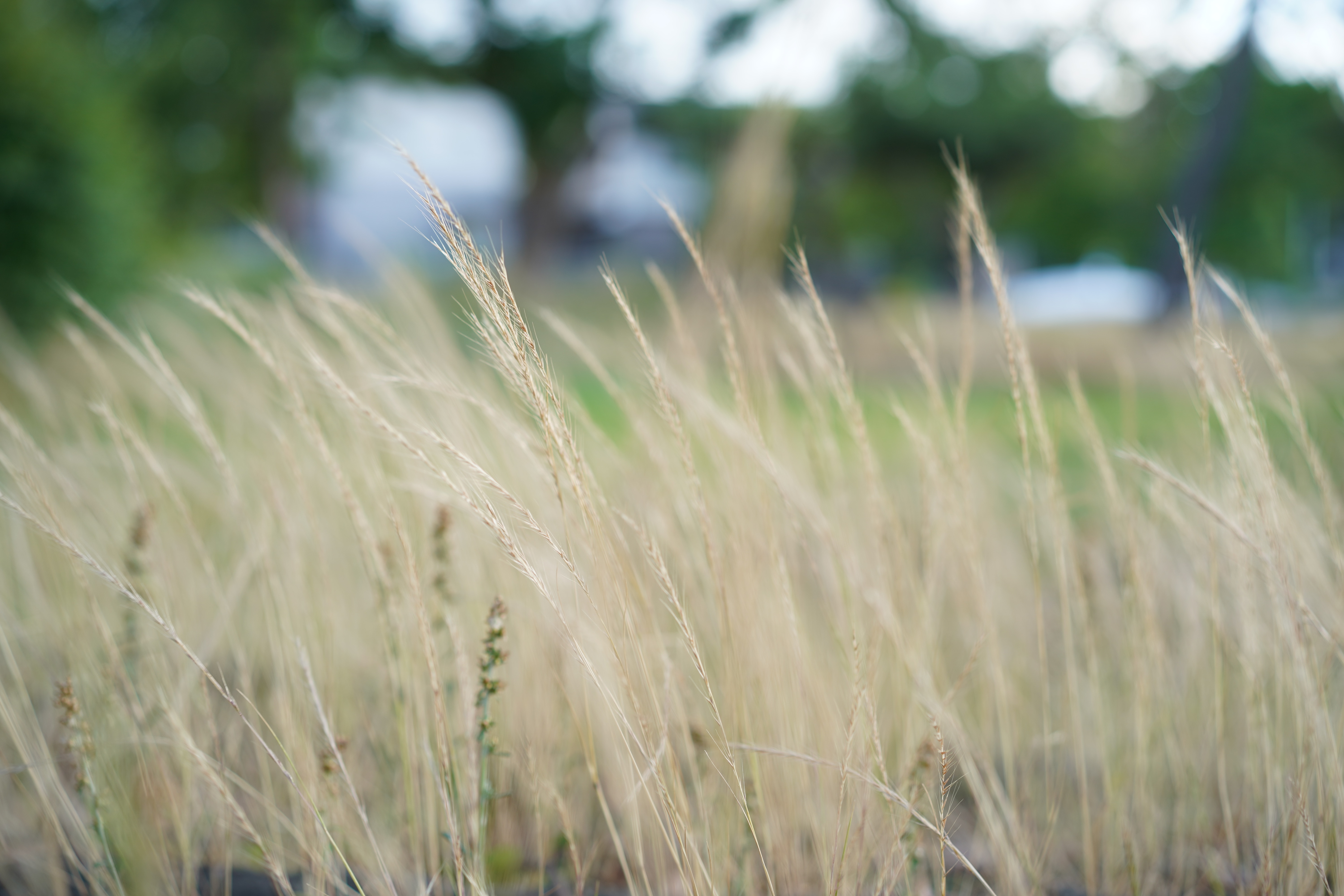 f:id:a418:20190806222519j:plain