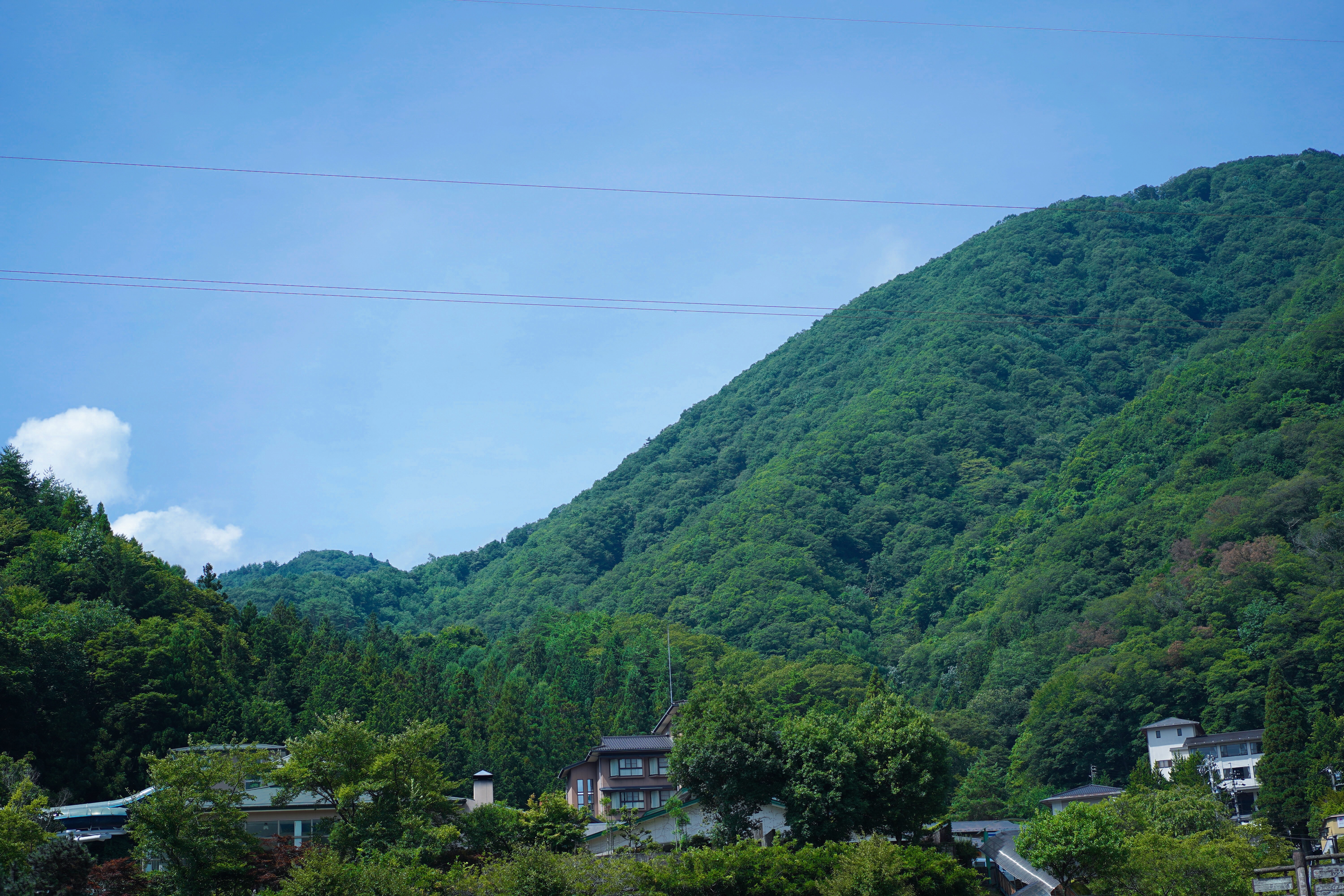 f:id:a418:20190820004205j:image f:id:a418:20190820004205j:image