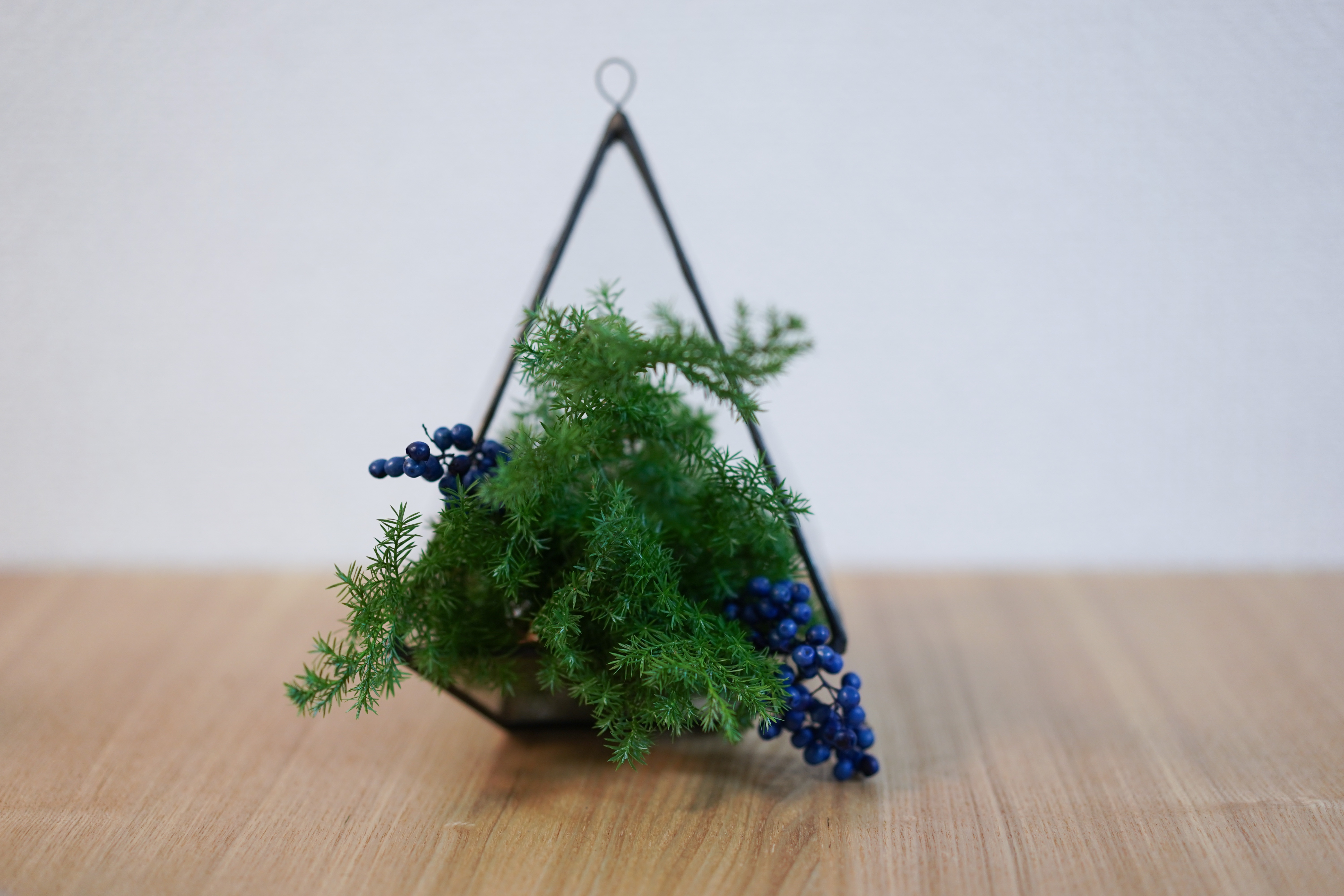 f:id:a418:20191130025332j:image