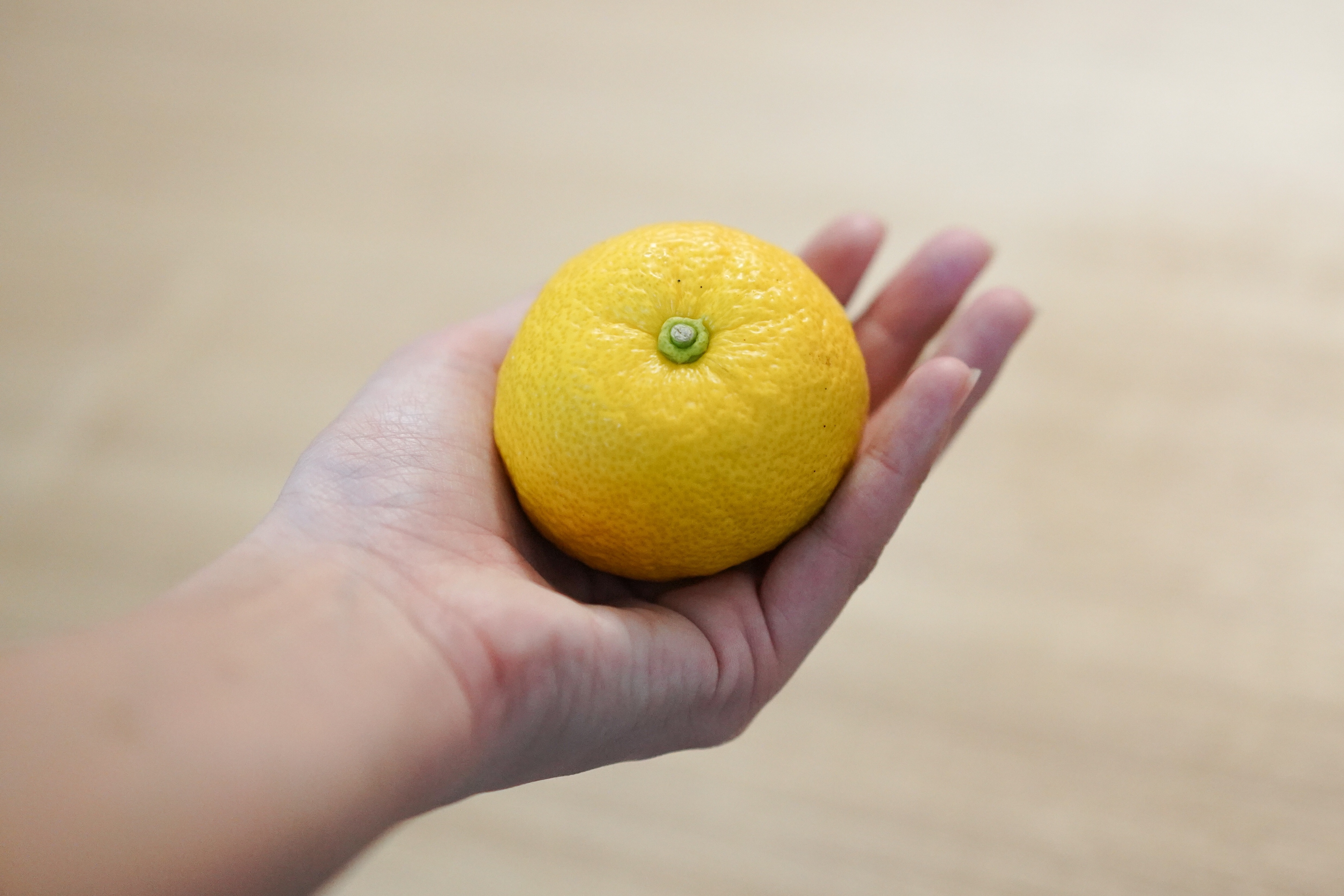 f:id:a418:20191223015414j:image