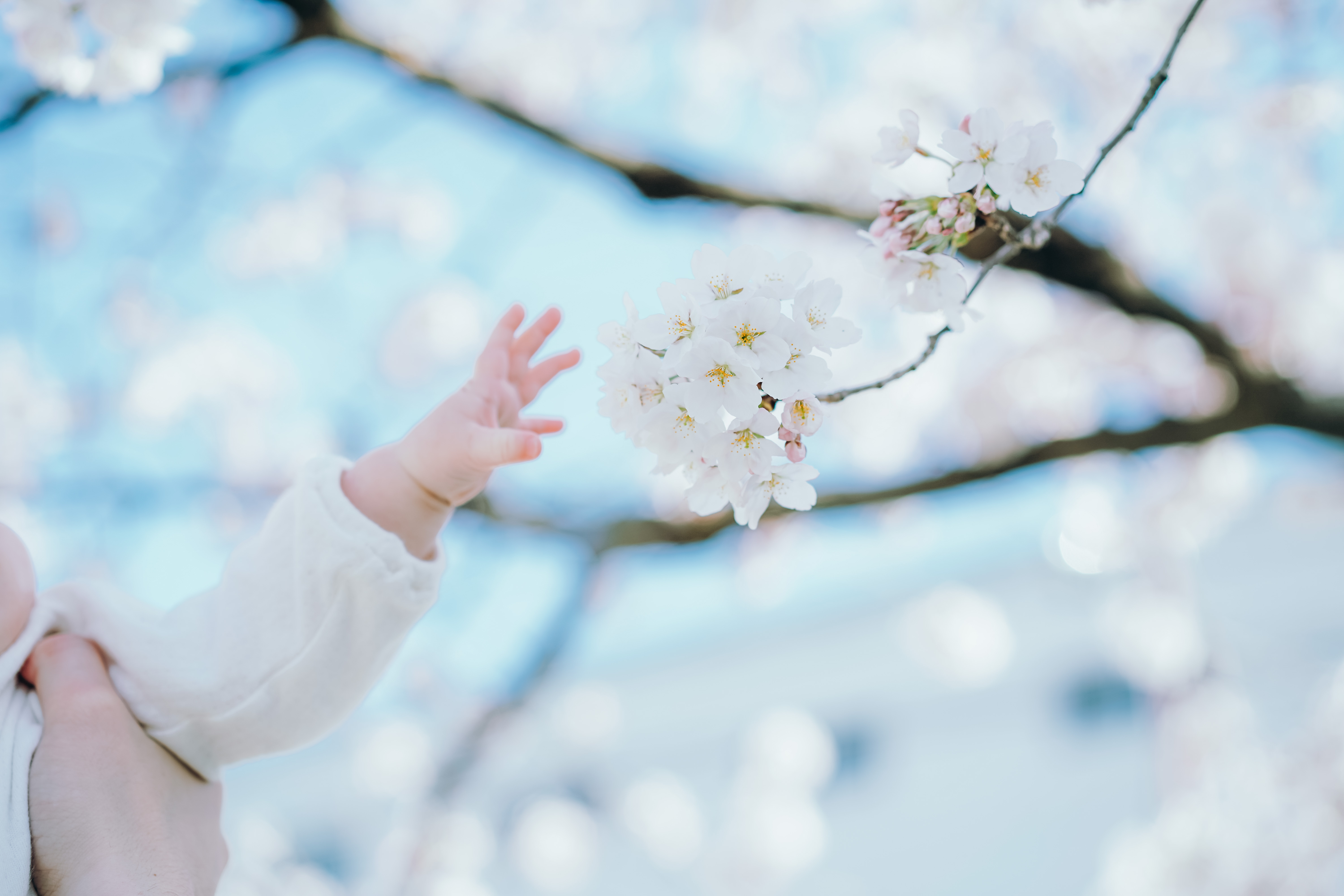 f:id:a418:20220412171604j:image