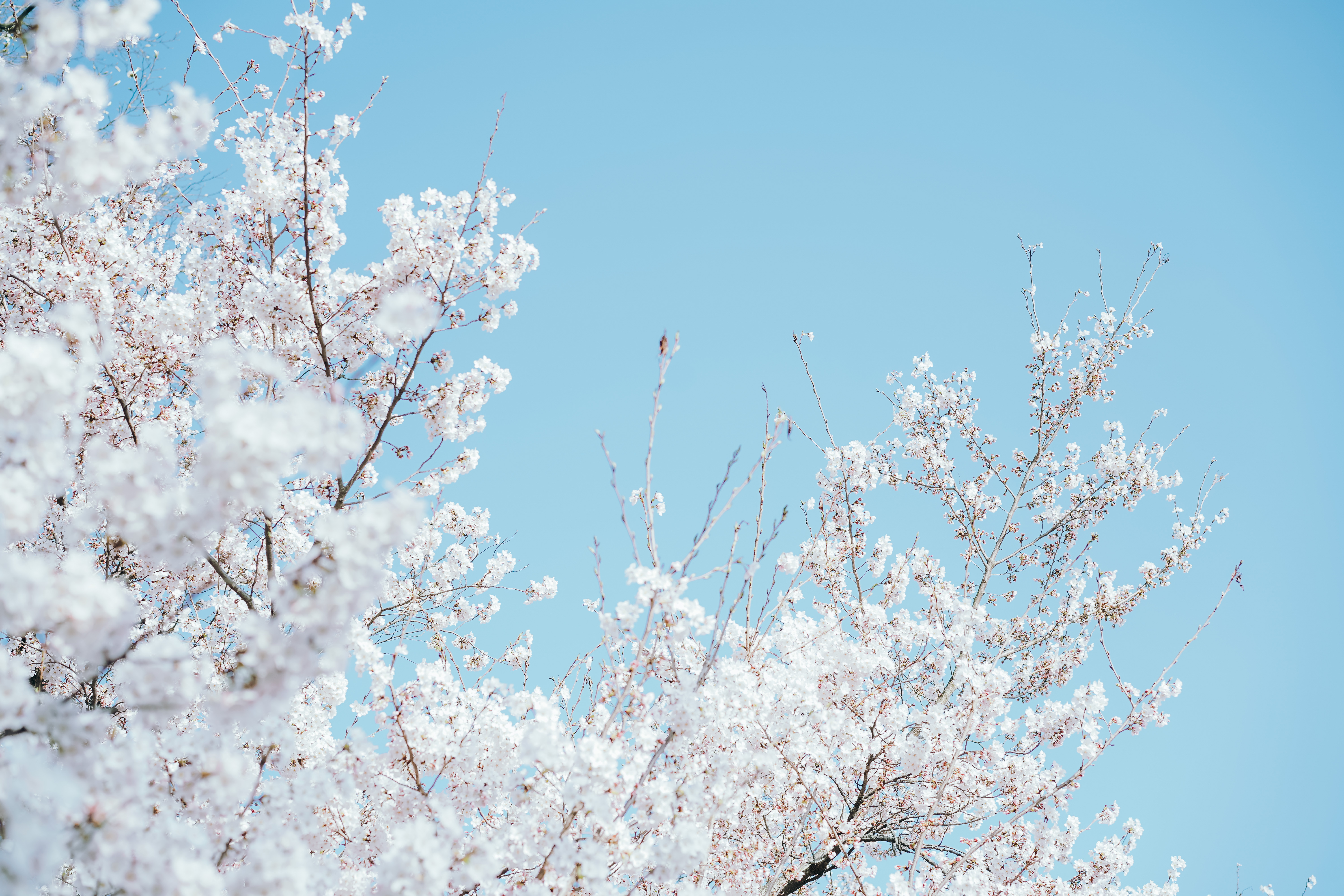 f:id:a418:20220412171802j:image