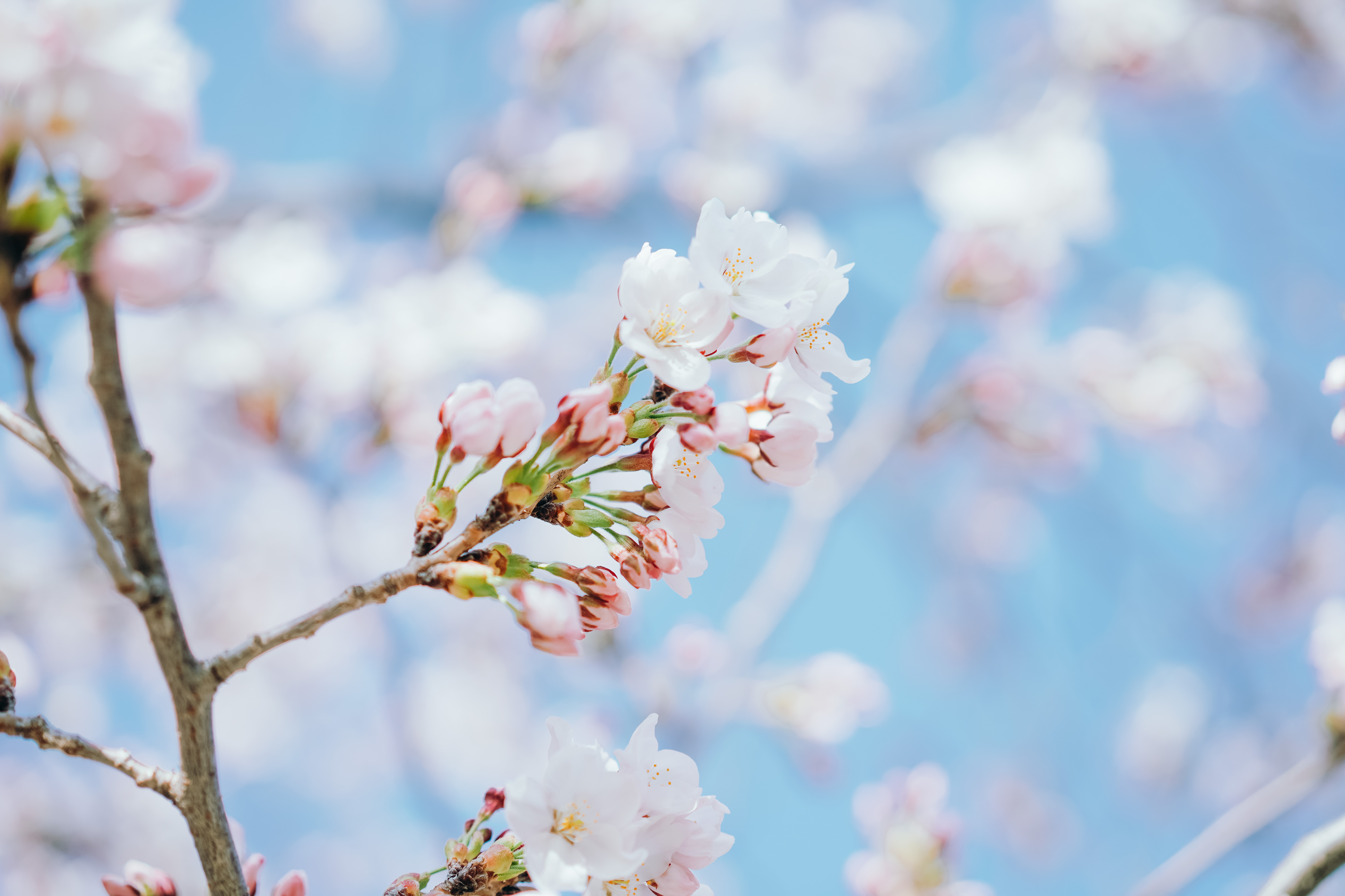 f:id:a418:20220412172304j:image