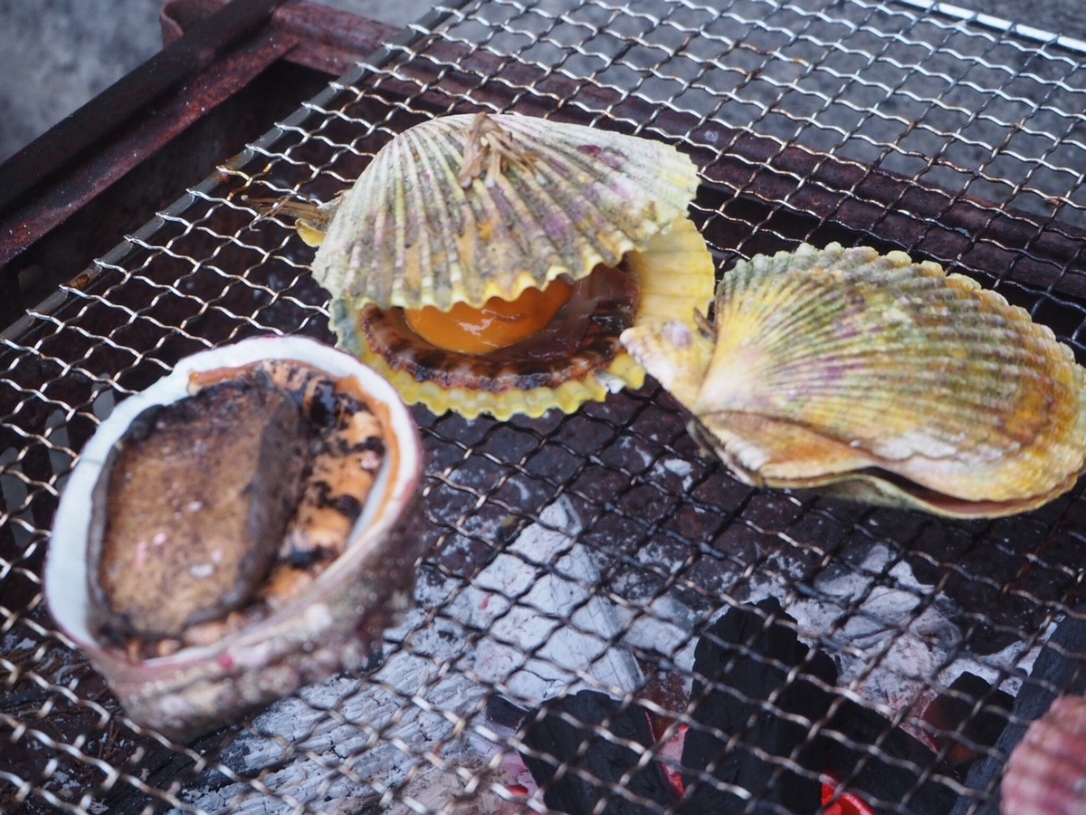 f:id:a6210091:20190506142233j:plain