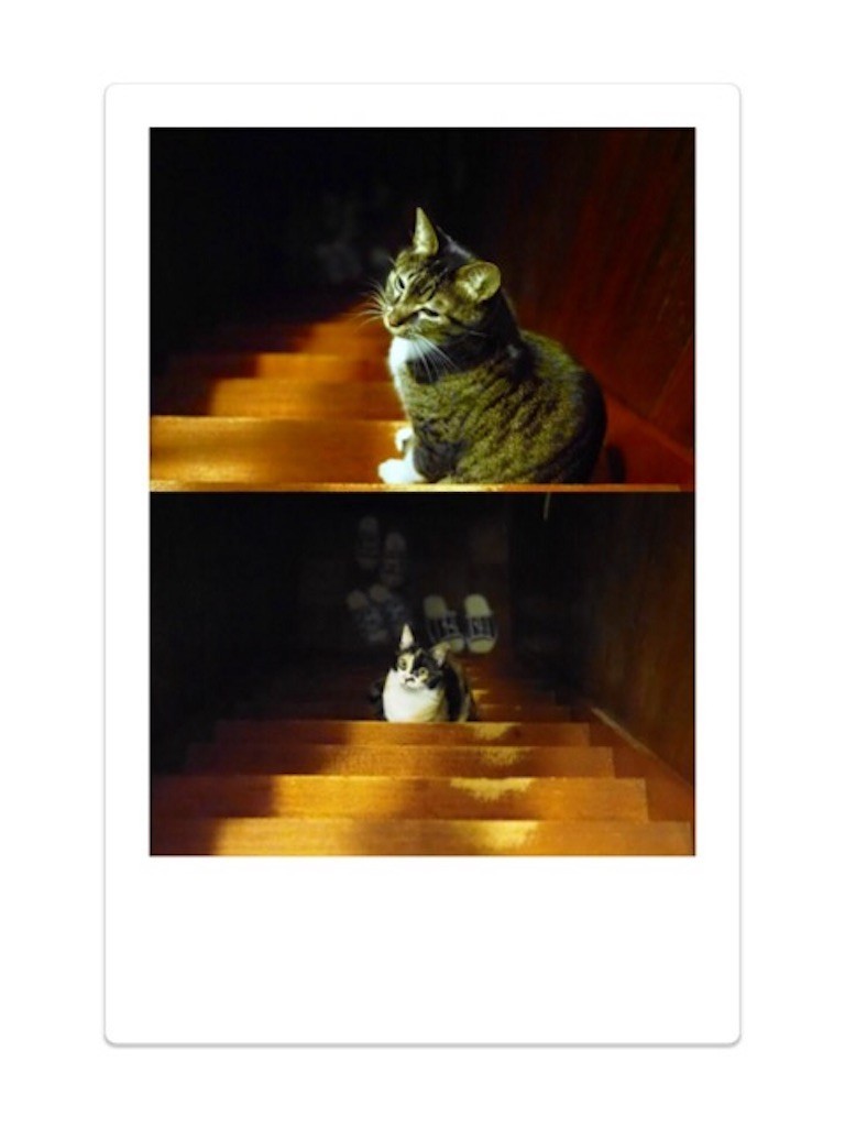 f:id:a666666:20180112004202j:image