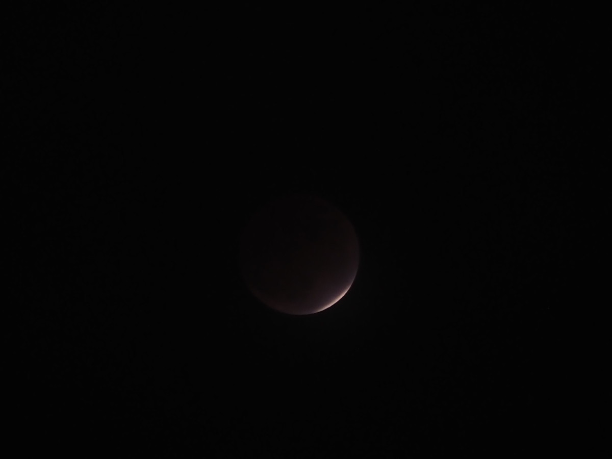 f:id:a666666:20211119180236j:plain