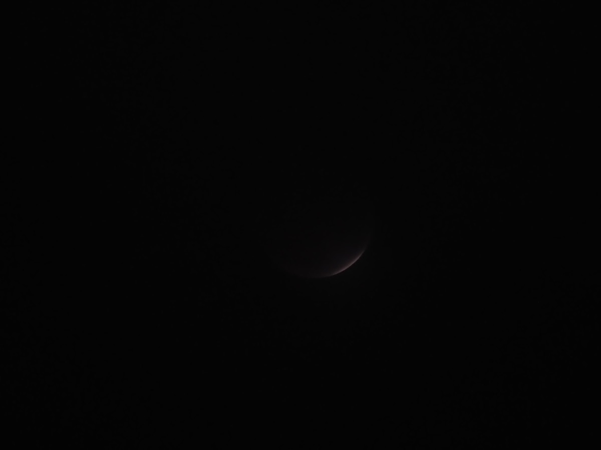 f:id:a666666:20211119180321j:plain