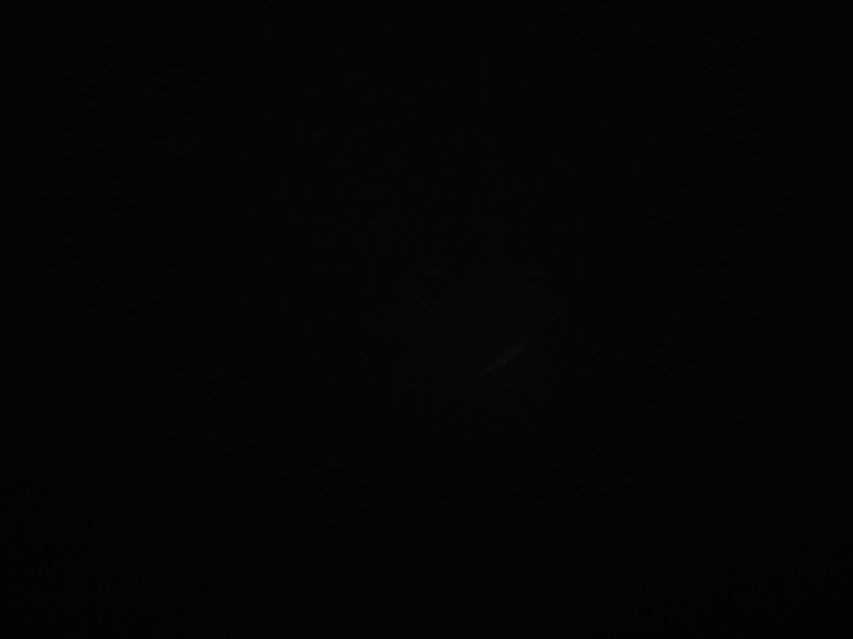 f:id:a666666:20211119180338j:plain