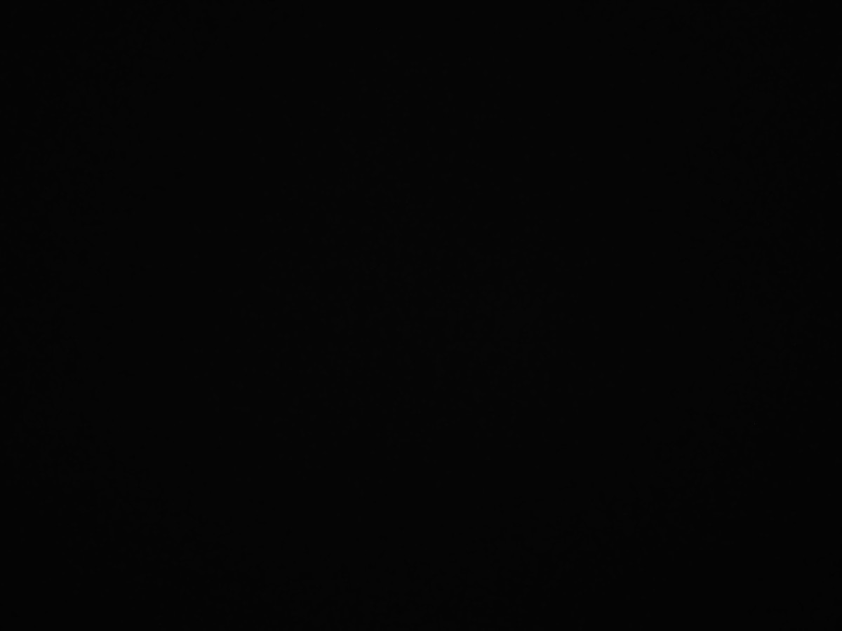 f:id:a666666:20211119180406j:plain