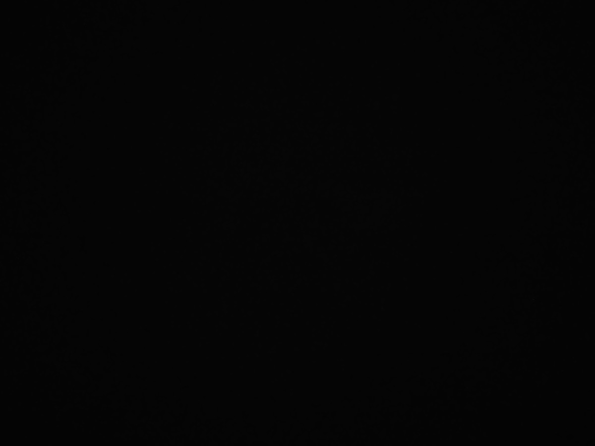 f:id:a666666:20211119180417j:plain