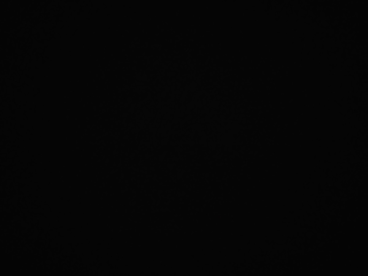 f:id:a666666:20211119180423j:plain