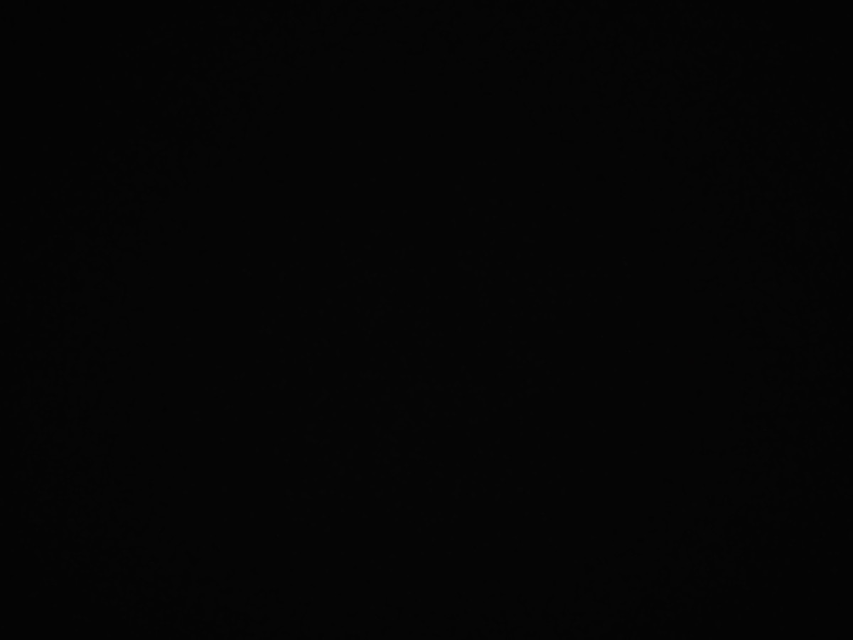 f:id:a666666:20211119180451j:plain