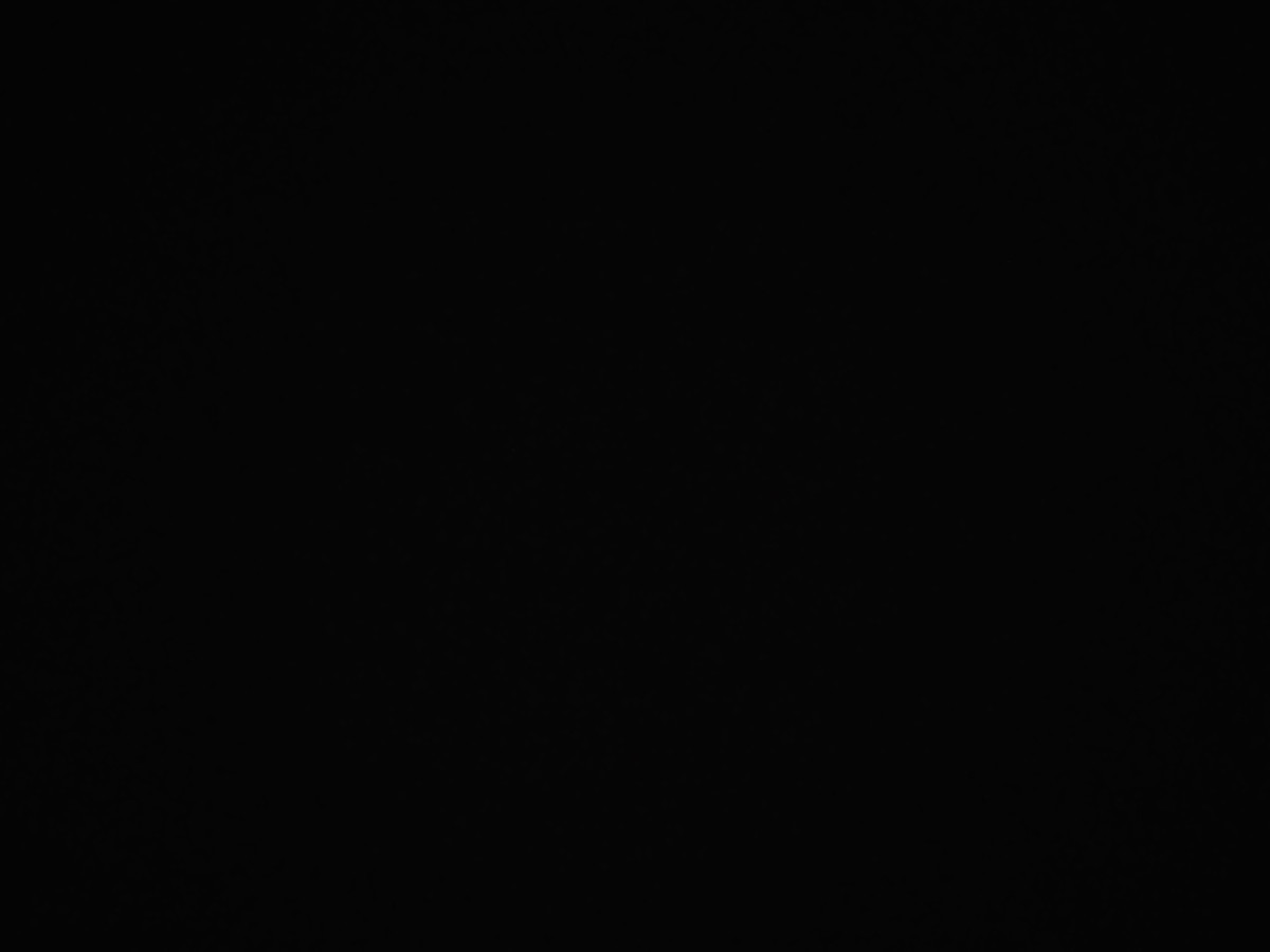 f:id:a666666:20211119180457j:plain