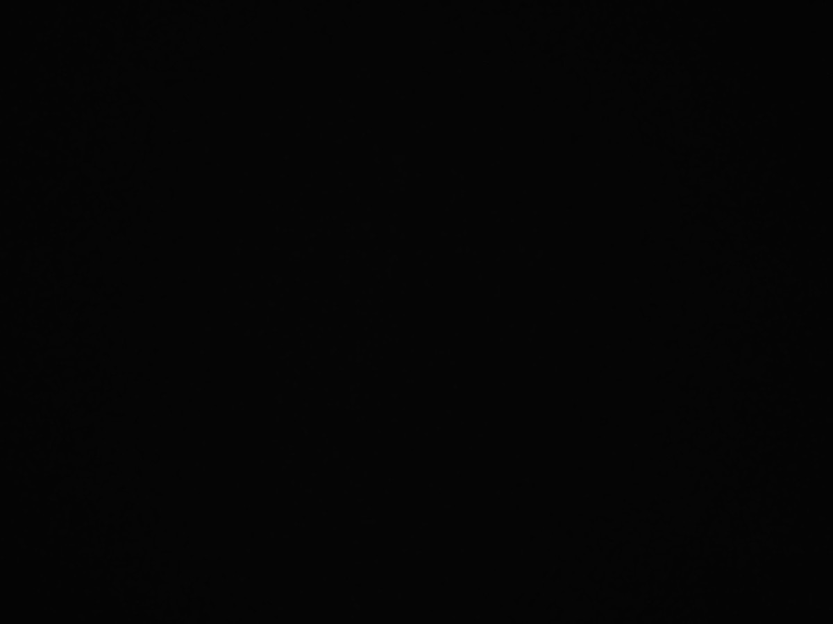 f:id:a666666:20211119180537j:plain