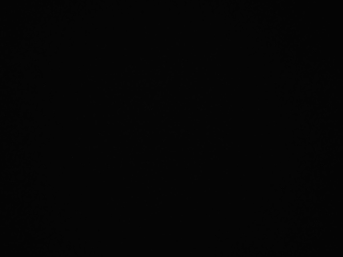 f:id:a666666:20211119180542j:plain