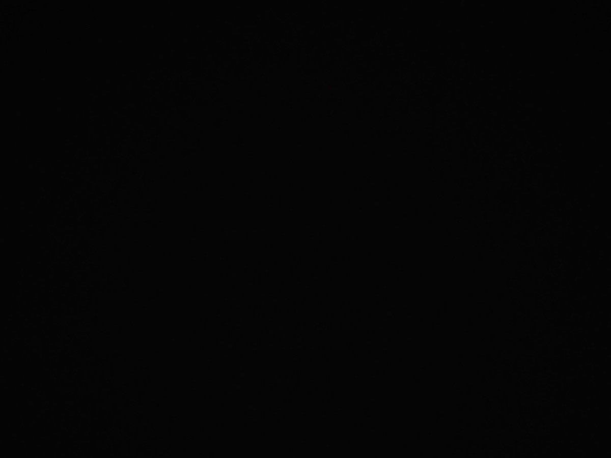 f:id:a666666:20211119180724j:plain