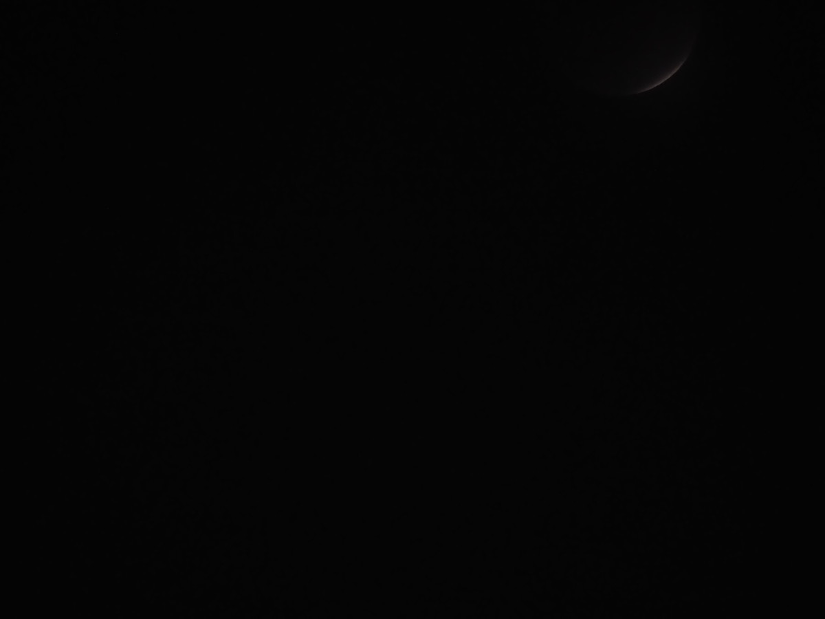 f:id:a666666:20211119180752j:plain