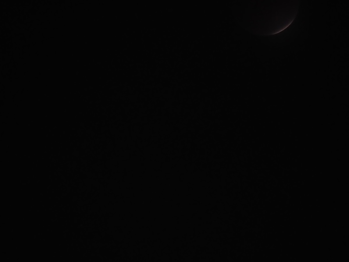 f:id:a666666:20211119180804j:plain