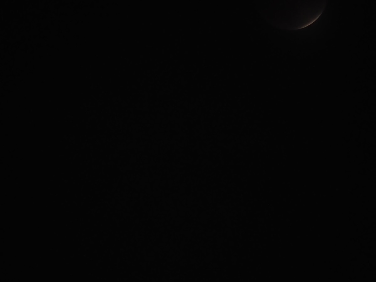 f:id:a666666:20211119180821j:plain